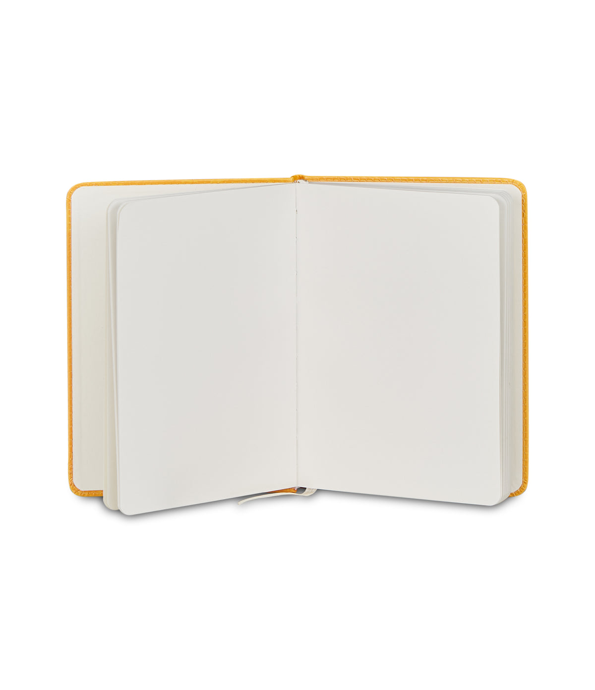 NOTEBOOK SAGOMATO